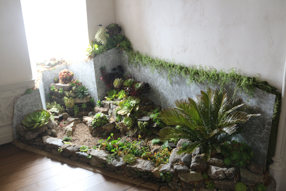 A bit unusual plants for the living room of St Michael's Mount castle