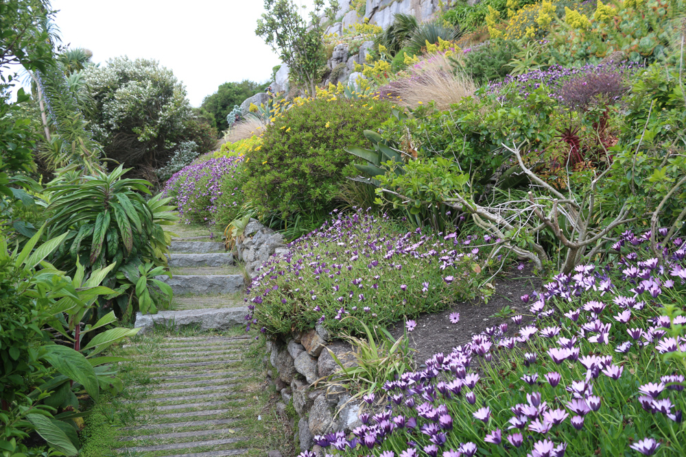 Gardens of St Michael's Mount