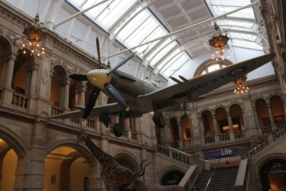 Westlicher Innenhof des Kelvingrove Museum. Eine Spitfire LA198 hängt über ausgestopften Tieren aus Afrika (einem Elefant, einer Giraffe, etc.).