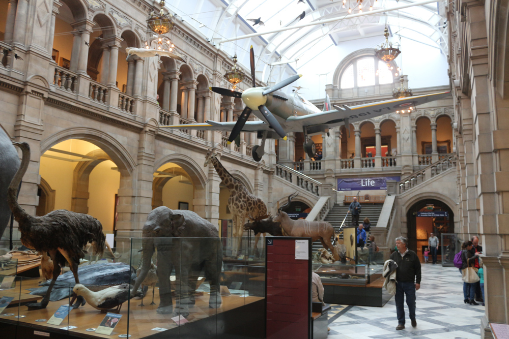 Westlicher Innenhof des Kelvingrove Museum. Eine Spitfire LA198 hängt über ausgestopften Tieren aus Afrika (einem Elefant, einer Giraffe, etc.).