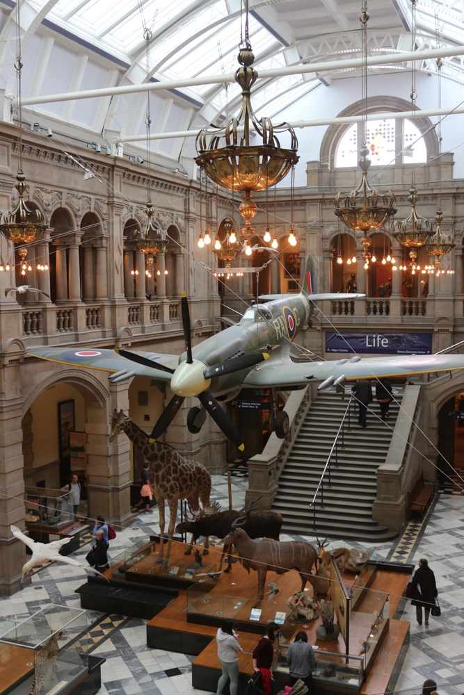 Westlicher Innenhof des Kelvingrove Museum. Eine Spitfire LA198 hängt über ausgestopften Tieren aus Afrika (einem Elefant, einer Giraffe, etc.).