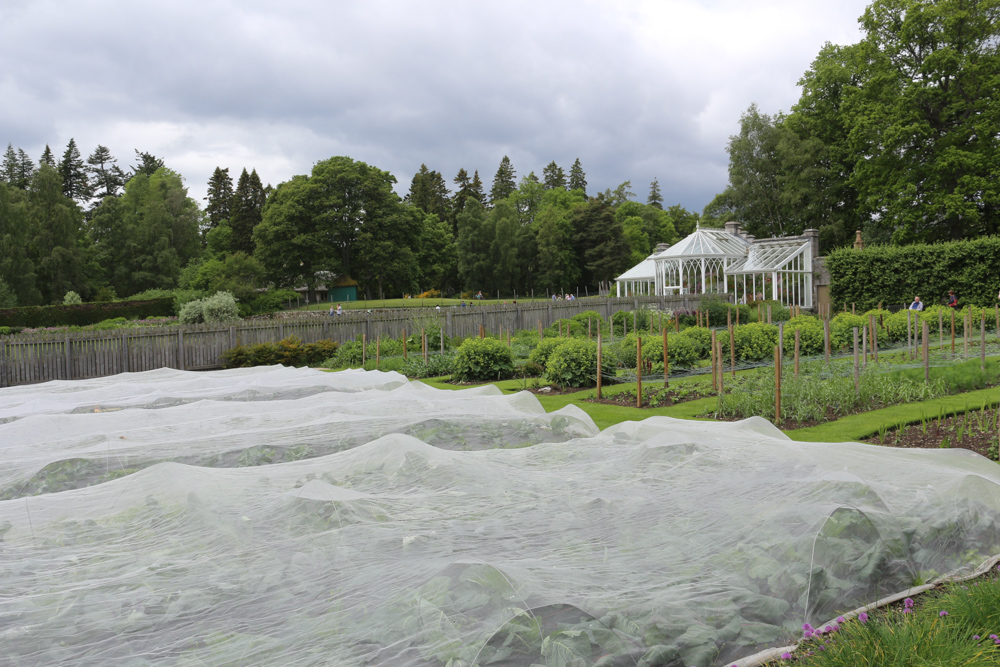 Gardens of Balmoral Castle