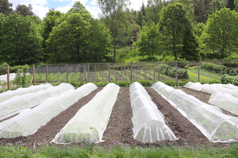 Gardens of Balmoral Castle