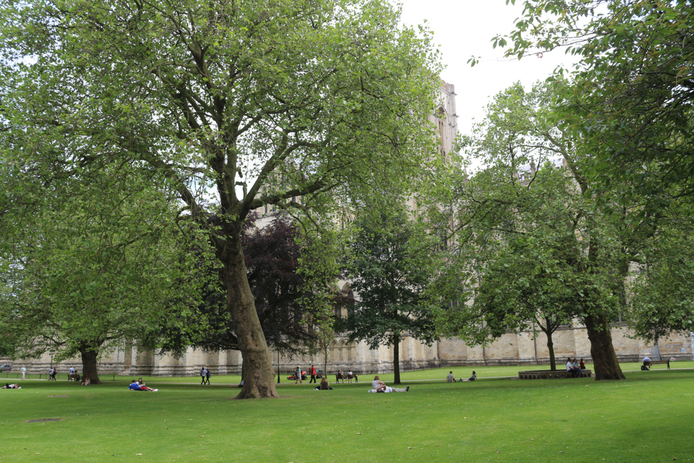 Dean's Park behind York Minster