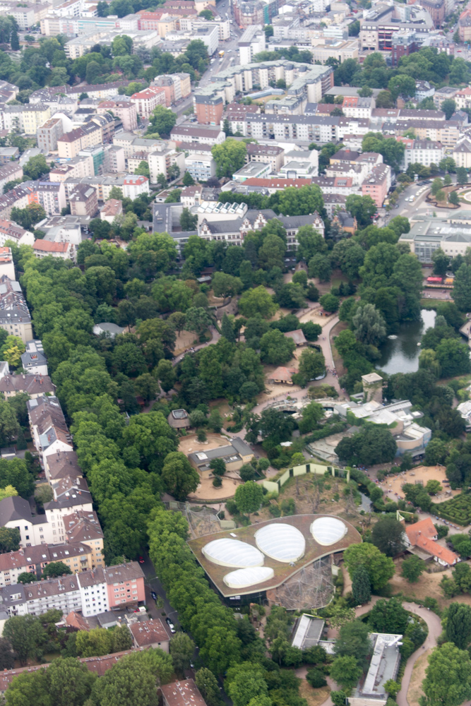 Blick aus einem Hubschrauber über Frankfurt am Main: Der Zoo Frankfurt in der Mitte des Frankfurter Stadtteils Ostend.