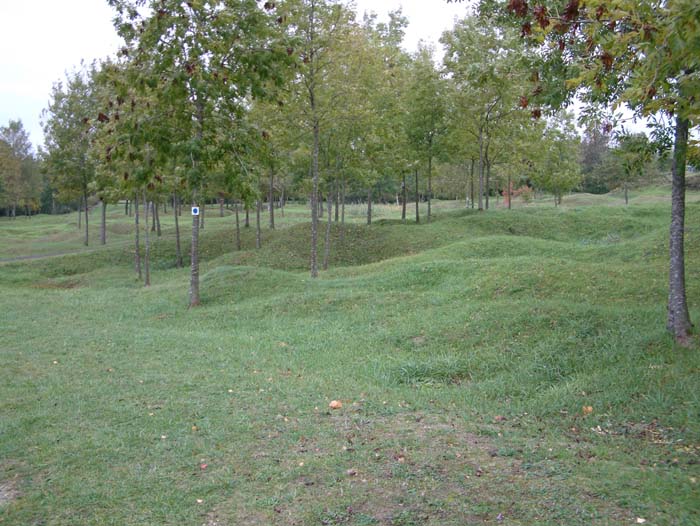 Bombentrichter in der Nähe des Beinhauses von Douaumont. In den Jahrzehnten nach dem Ende der Schlacht um Verdun hat sich die Natur zwar weitgehend von den Zerstörungen erholt. Trotzdem sind die Narben der blutigen Vergangenheit unübersehbar.