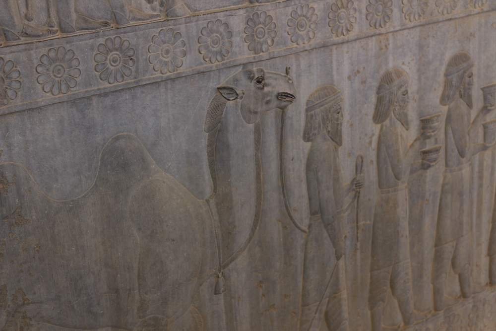 Reliefdetail an der östlichen Treppe zum großen Apadana Palast: Delegation aus Parthien mit einem Kamel und Metallgefäßen.