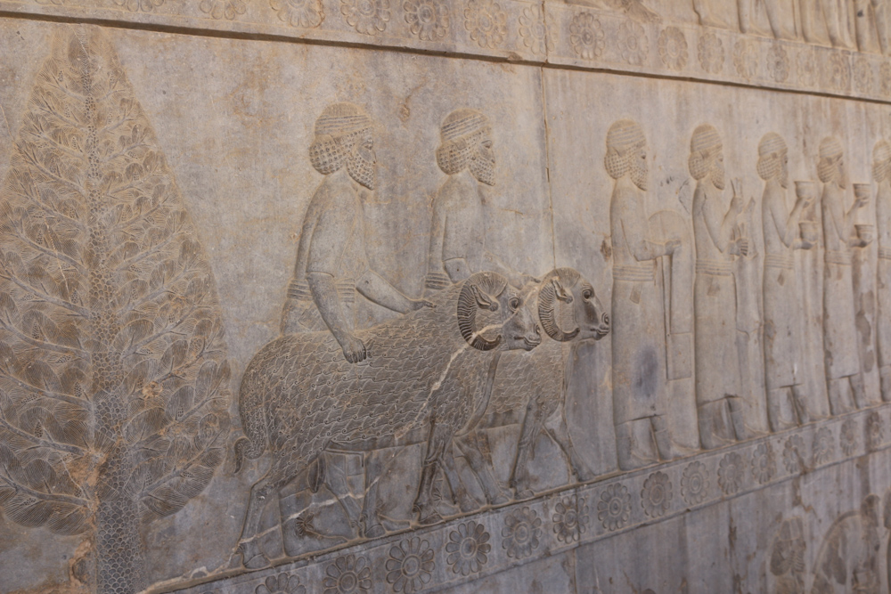 Reliefdetail an der östlichen Treppe zum großen Apadana Palast: Assyrische Delegation mit Schalen, Gewändern und Widdern.