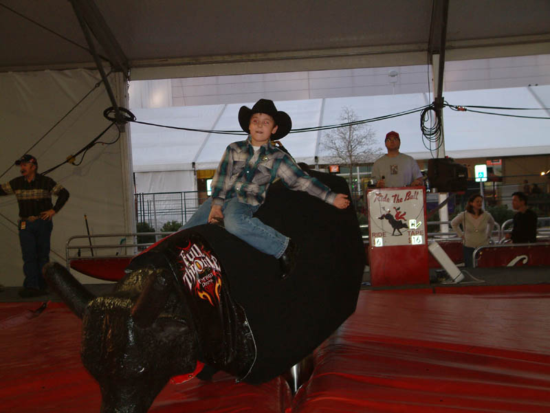 Bull Riding