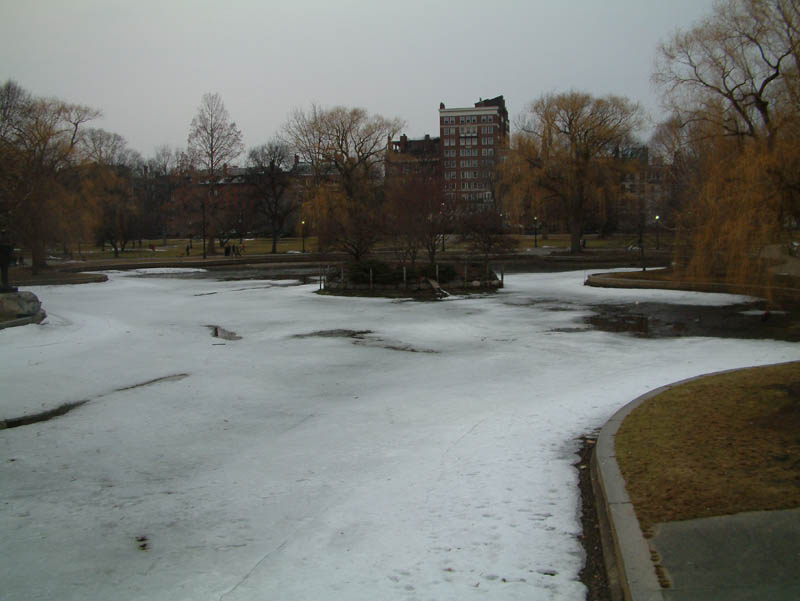 Boston Common