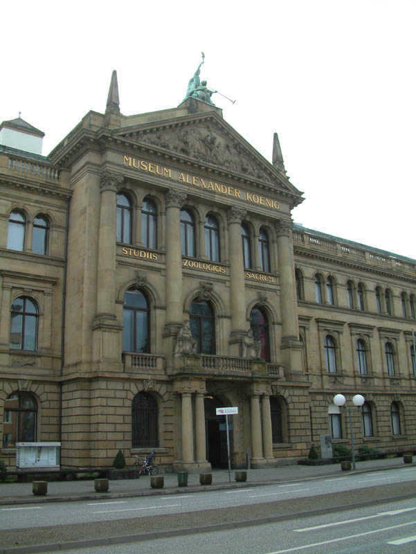 Museum Alexander König