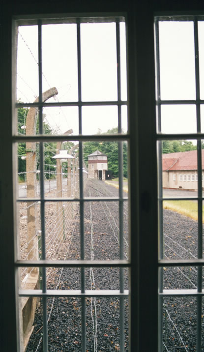 Blick aus dem Einzelzellenbereich hinaus auf den Stacheldraht, den das Lager umgibt.