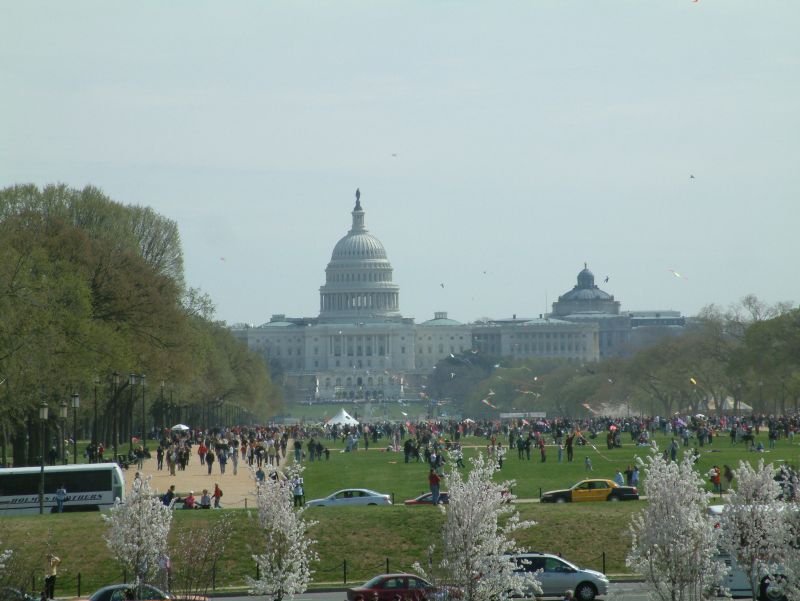 Capitol Hill during the 41st Smithsonian Kite Festival