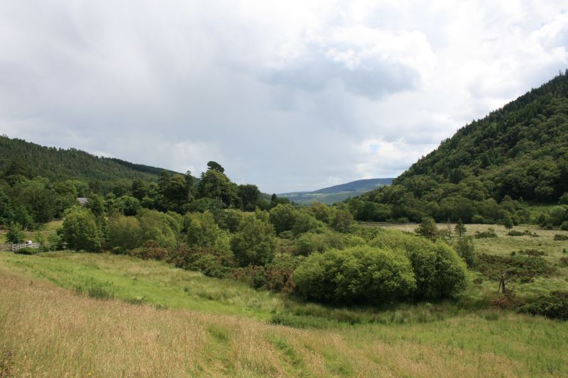 Wald rund um das Kloster Glendalough