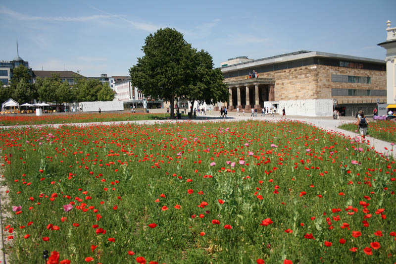 Sanja Iveković
Poppy Field
Installation 2007