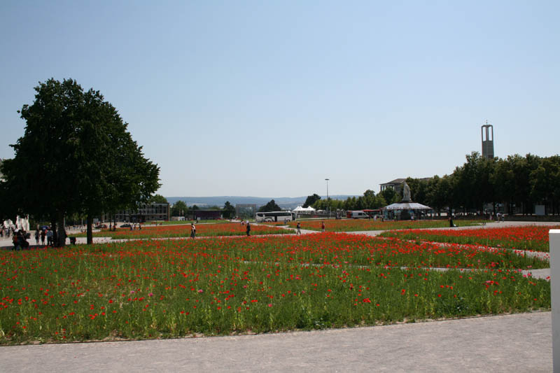 Sanja Iveković
Poppy Field
Installation 2007