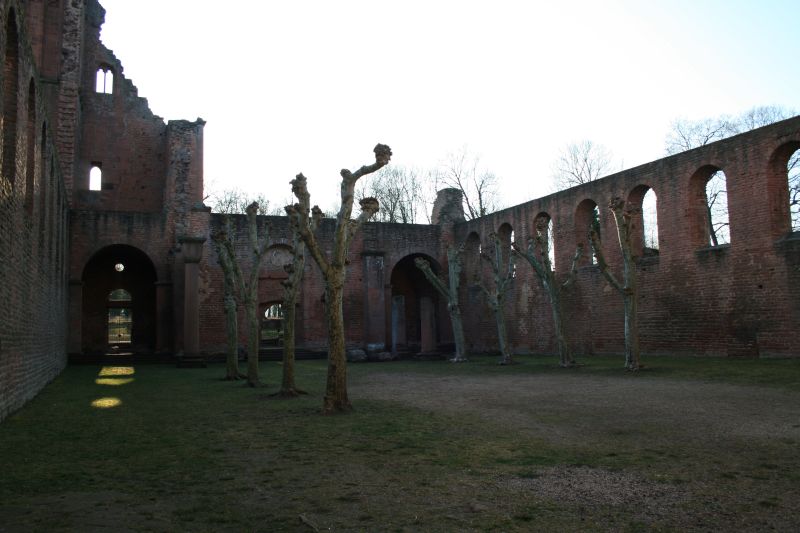 Ruins of the Limburg Benedictine abbey in Bad Dürkheim