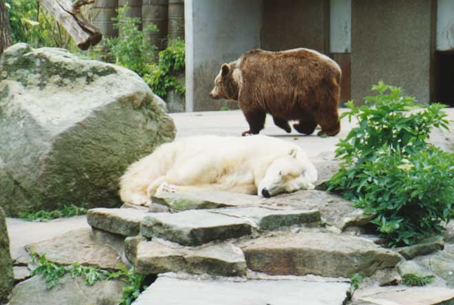 Hannover Zoo