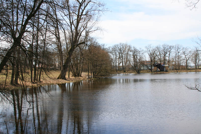 See im Park des& Schloss Weißenstein