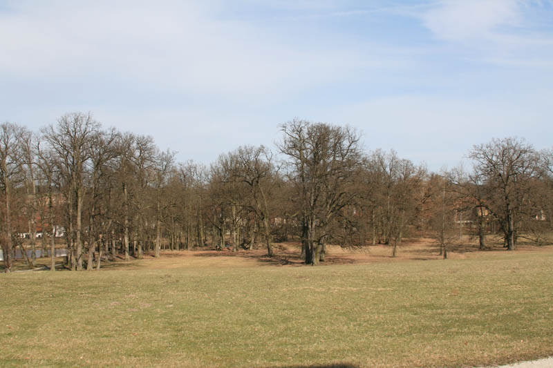 Park rund um Schloss Weißenstein