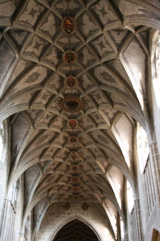 A view of the vaulted ceiling& in the Münster of Berne& showing the extensive lace-like structure