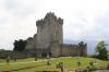 Ross Castle ist eine Festung in Irland. Sie liegt unweit von Killarney auf einer Halbinsel am Ostufer des Lough Leane, des größten der drei Seen im Killarney-Nationalpark, und war der Stammsitz des O'Donoghue-Clans. Ross Castle gilt als typisches Beispiel für die Burg eines mittelalterlichen irischen Clan-Führers. Der genaue Entstehungszeitpunkt der Festung ist nicht bekannt, man vermutet aber, dass ein Mitglied der O'Donoghues Ross Castle im späten 15. Jahrhundert erbauen ließ.