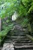 Die Treppe scheint fast natürlichen Ursprungs zu sein. Sie führt vom Fuß des Torc Wasserfalls in die Hügel des Killarney Nationalparks