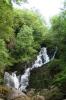 Torc Waterfall in the Killarney Nation Park