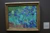 IrisesVincent van Gogh, 1889