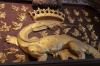 Der Salamander war das persönliche Wappentier König Franz I.