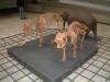 Skelette von prähistorischen Elefanten in Miniformat