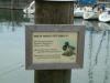 Schild: im Hafen von Langenargen ist Füttern von Enten verboten