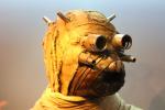Head of a Tusken Raider from the Sand People