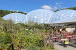 Buckminster Fuller Domes of the Eden Project in Cornwall