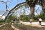 Inside the Biome for subtropic and Mediterranean climate zones