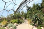 Inside the Biome for subtropic and Mediterranean climate zones