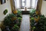 A bit unusual plants fin the rooms of St Michael's Mount castle