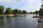 Rowers on the river Avon flowing through Stratford