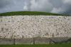 Rekonstruierte Mauer aus Granit und weißem Quarzit trug nahe des Eingangs von Newgrange.