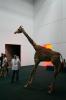 Peter Friedl
The Zoo Story
Installation 2007

Giraffe Brownie was a victim of the second Palestinian Intifada. She died in the zoo of the West Bank city of Qalqilyah.