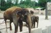 Zoo Hannover - Die Elefanten haben einen eigenen Tempel als Unterkunft.