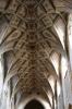 A view of the vaulted ceiling in the Münster of Berne showing the extensive lace-like structure